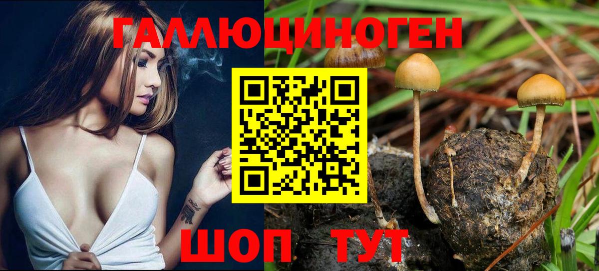 Галлюциногенные грибы GOLDEN TEACHER  Вход с VPN  Дятьково 