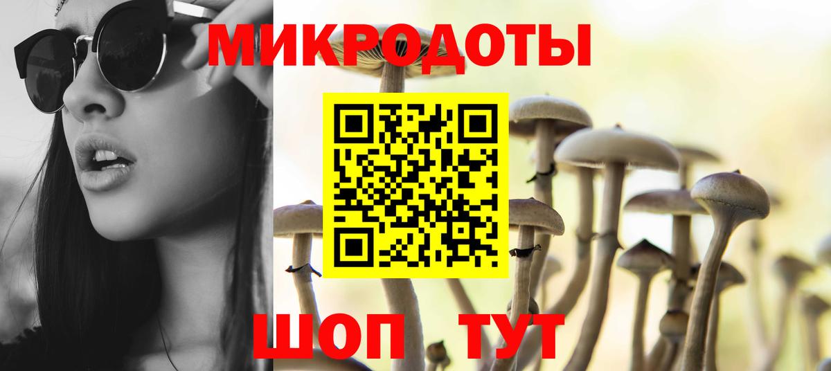 Псилоцибиновые грибы мицелий Дятьково